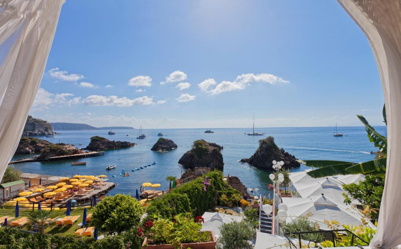 Delfini Ischia