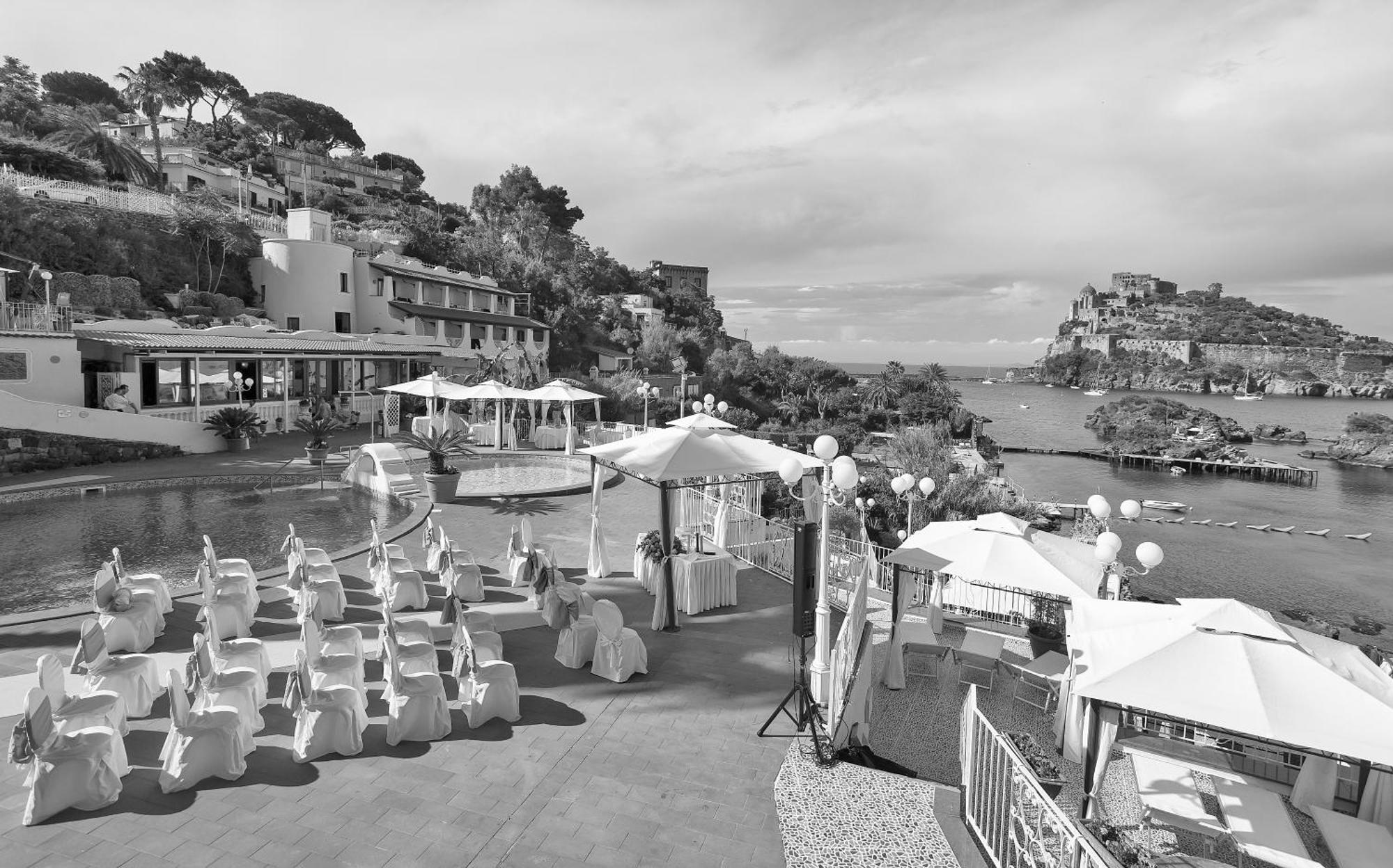 Delfini Ischia
